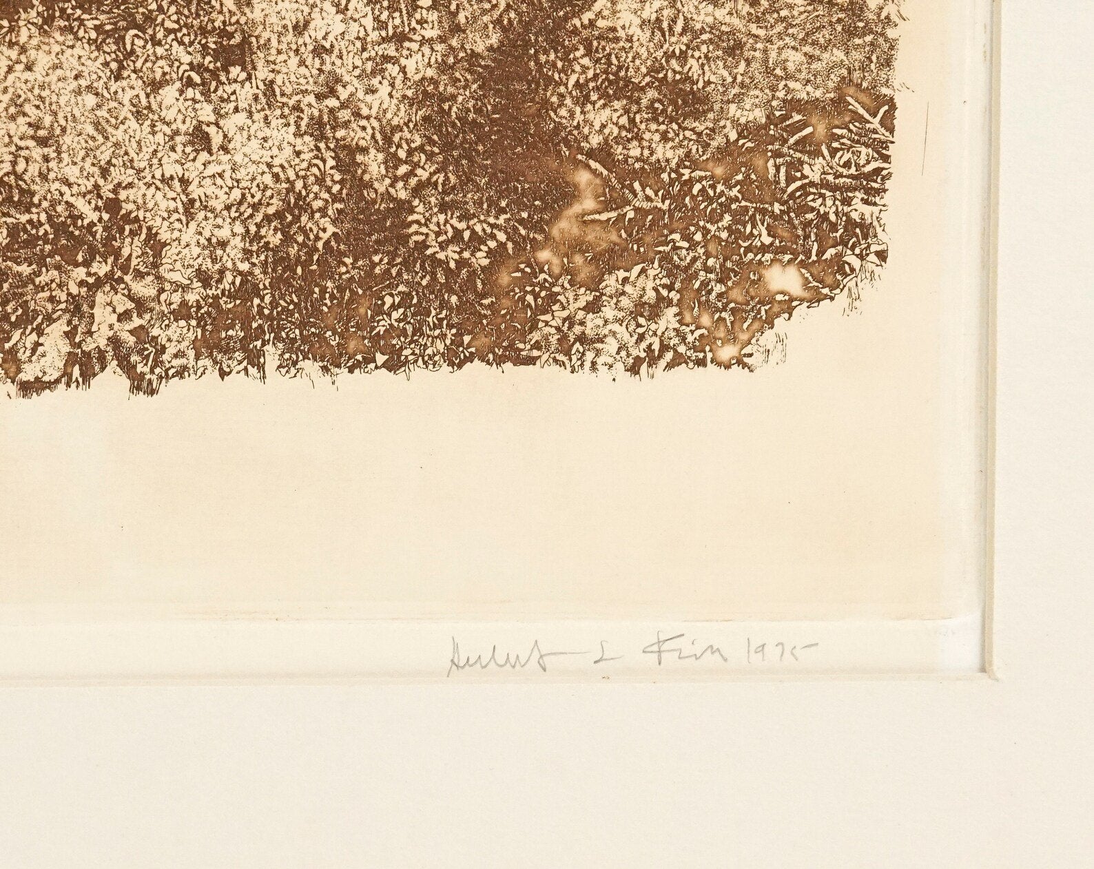 FRAMED 'HAWK AT OWLS HEAD' ETCHING