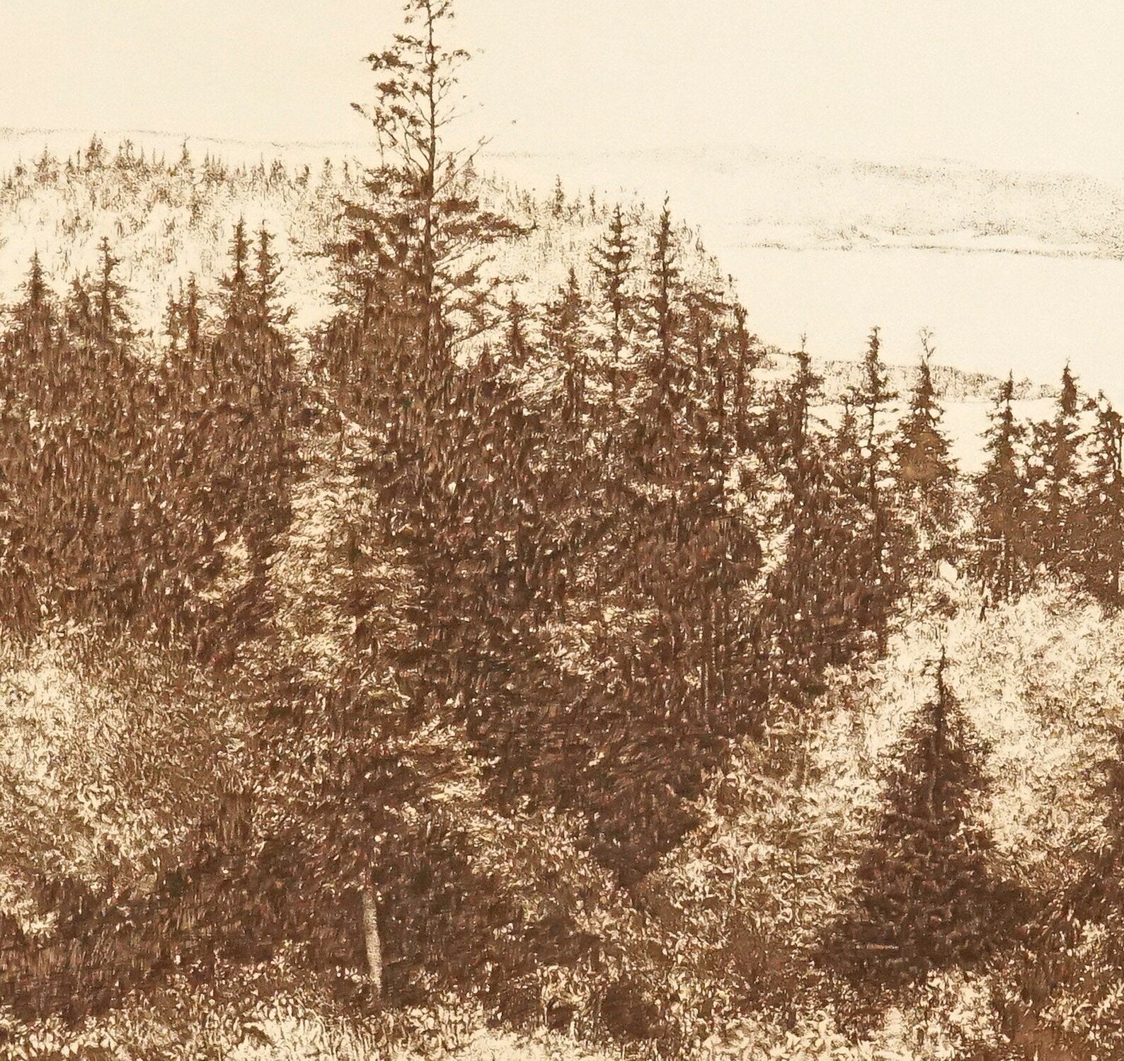 FRAMED 'HAWK AT OWLS HEAD' ETCHING