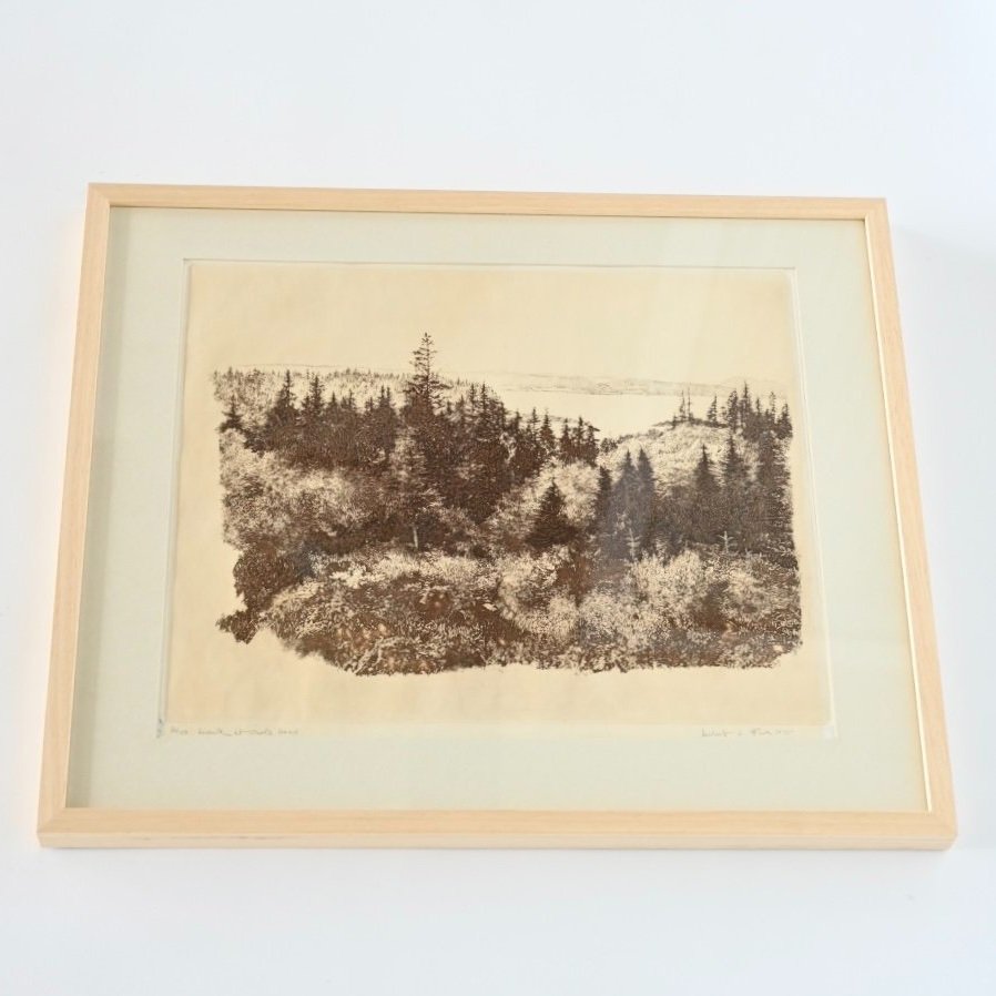 FRAMED 'HAWK AT OWLS HEAD' ETCHING