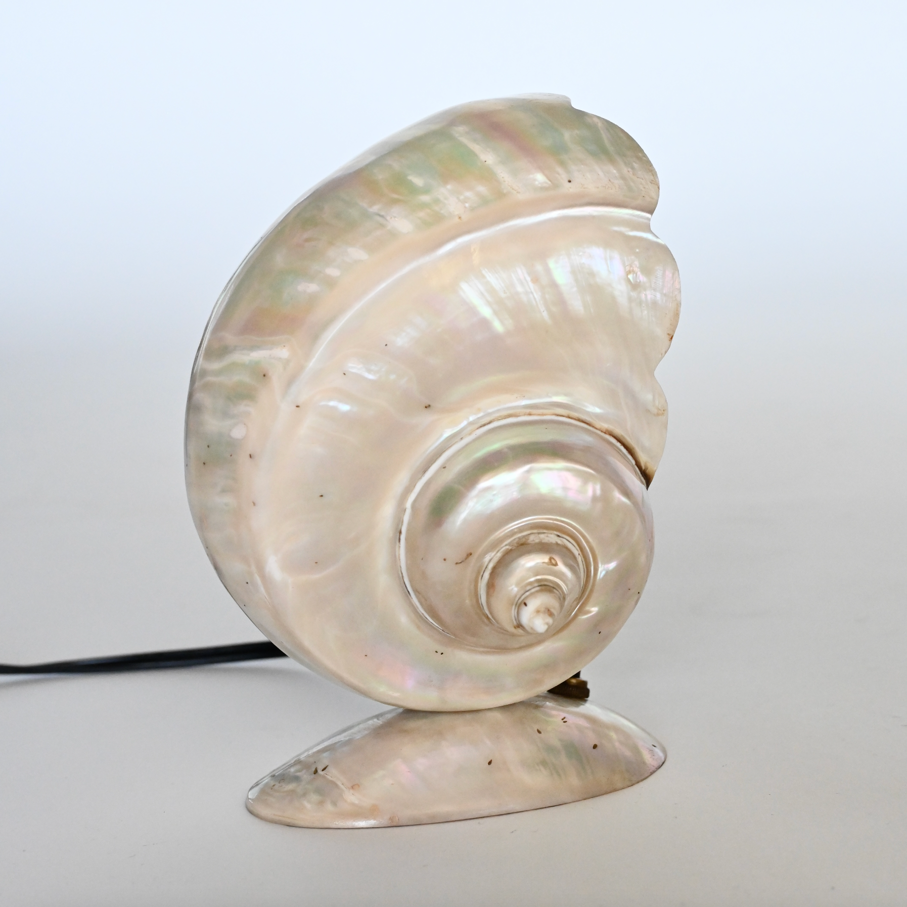 SHELL TABLE LAMP