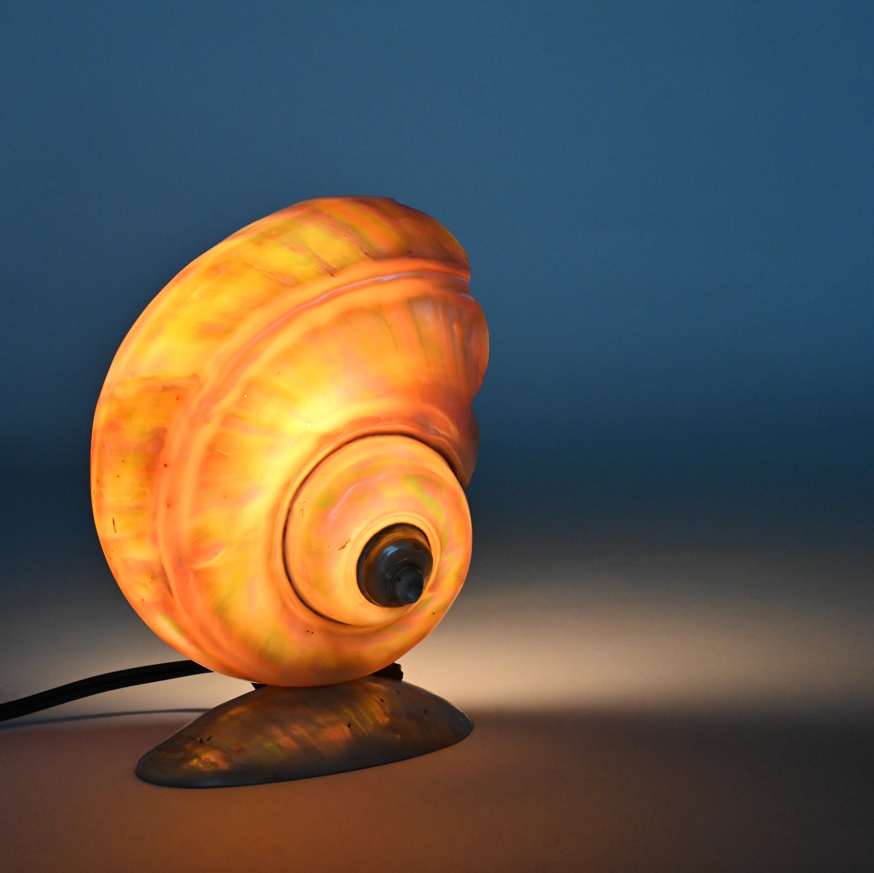 SHELL TABLE LAMP