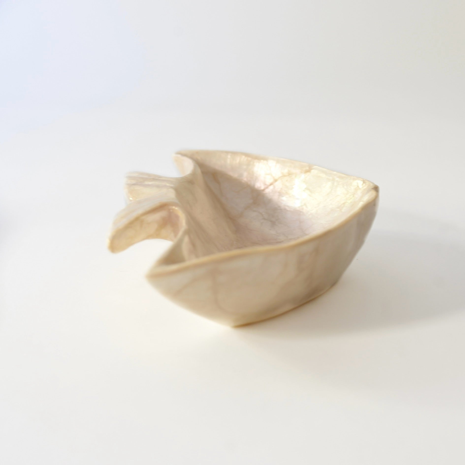 PEARLESCENT BOWL / DISH